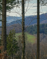 Stephan-Redel-0228-1032-07626