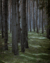 Stephan-Redel-0229-908-08132