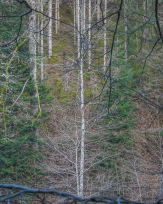 Stephan-Redel-0232-1034-07664