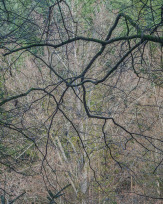 Stephan-Redel-0233-1034-07659