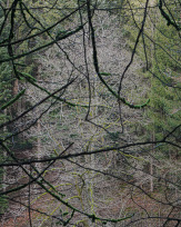 Stephan-Redel-0234-1034-07668