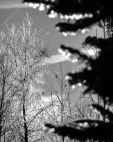 Stephan-Redel-0235-1032-07510