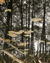 Stephan-Redel-0236-849-03992