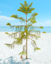 Stephan-Redel-0239-780-2573