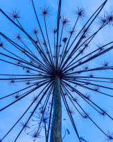 Stephan-Redel-0240-1027-06603