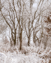 Stephan-Redel-0242-950-03491