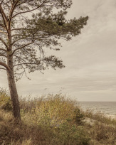 Stephan-Redel-0243-1028-0037