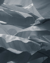 Stephan-Redel-0246-1025-1476