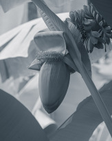 Stephan-Redel-0247-1025-1468