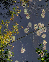 Stephan-Redel-0248-849-04023