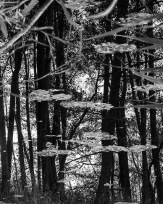 Stephan-Redel-0249-849-03995