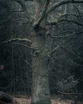 Stephan-Redel-0252-1005-00472