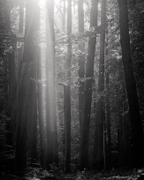 Stephan-Redel-0254-1026-06557