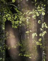 Stephan-Redel-0255-1018-0192