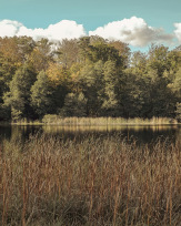 Stephan-Redel-0256-1026-06523