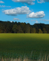 Stephan-Redel-0257-1026-06540