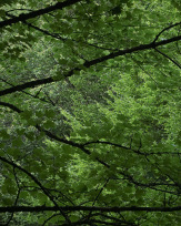 Stephan-Redel-0260-1018-0198