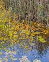 Stephan-Redel-0261-849-04021