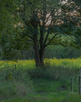 Stephan-Redel-0262-1021-03923