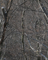 Stephan-Redel-0264-991-0119