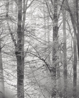 Stephan-Redel-0265-261-20918