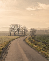 Stephan-Redel-0267-991-0068