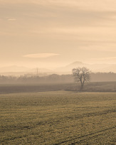 Stephan-Redel-0268-991-0066