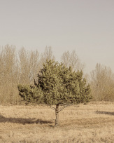 Stephan-Redel-0269-817-9506