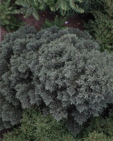 Stephan-Redel-0270-842-00505