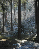 Stephan-Redel-0275-991-0101