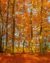 Stephan-Redel-0276-693-6953