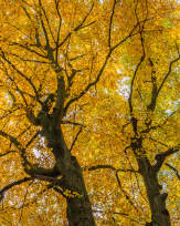 Stephan-Redel-0277-693-6929