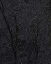 Stephan-Redel-0279-934-02823