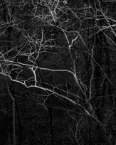 Stephan-Redel-0280-934-02819