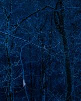 Stephan-Redel-0281-934-02822