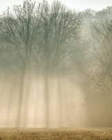 Stephan-Redel-0284-934-02746