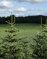 Stephan-Redel-0286-1026-06537