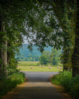 Stephan-Redel-0287-971-05878