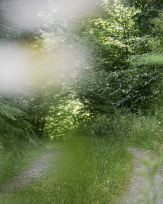 Stephan-Redel-0288-1012-02016