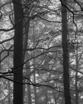 Stephan-Redel-0289-898-06724