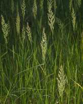 Stephan-Redel-0290-1014-02197