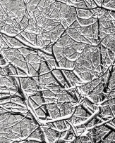 Stephan-Redel-0291-704-0313