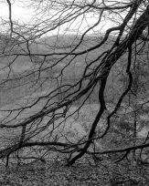 Stephan-Redel-0292-816-9416