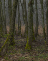 Stephan-Redel-0293-1005-00479