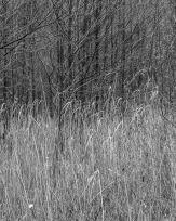 Stephan-Redel-0294-1005-00482