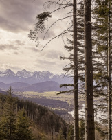 Stephan-Redel-0296-996-08325