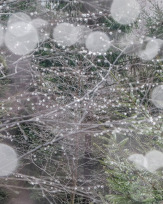 Stephan-Redel-0297-816-9391