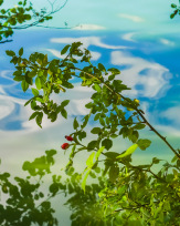 Stephan-Redel-0303-889-0100