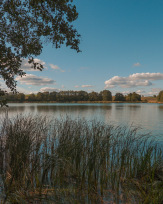 Stephan-Redel-0304-889-0091