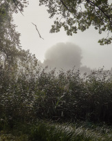 Stephan-Redel-0307-889-0074